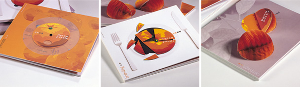 桔聚創藝portfolio2009_3
