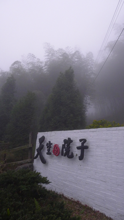 院子06