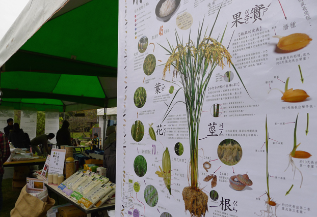 合樸農學市集07