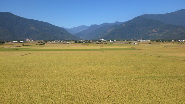 池上12